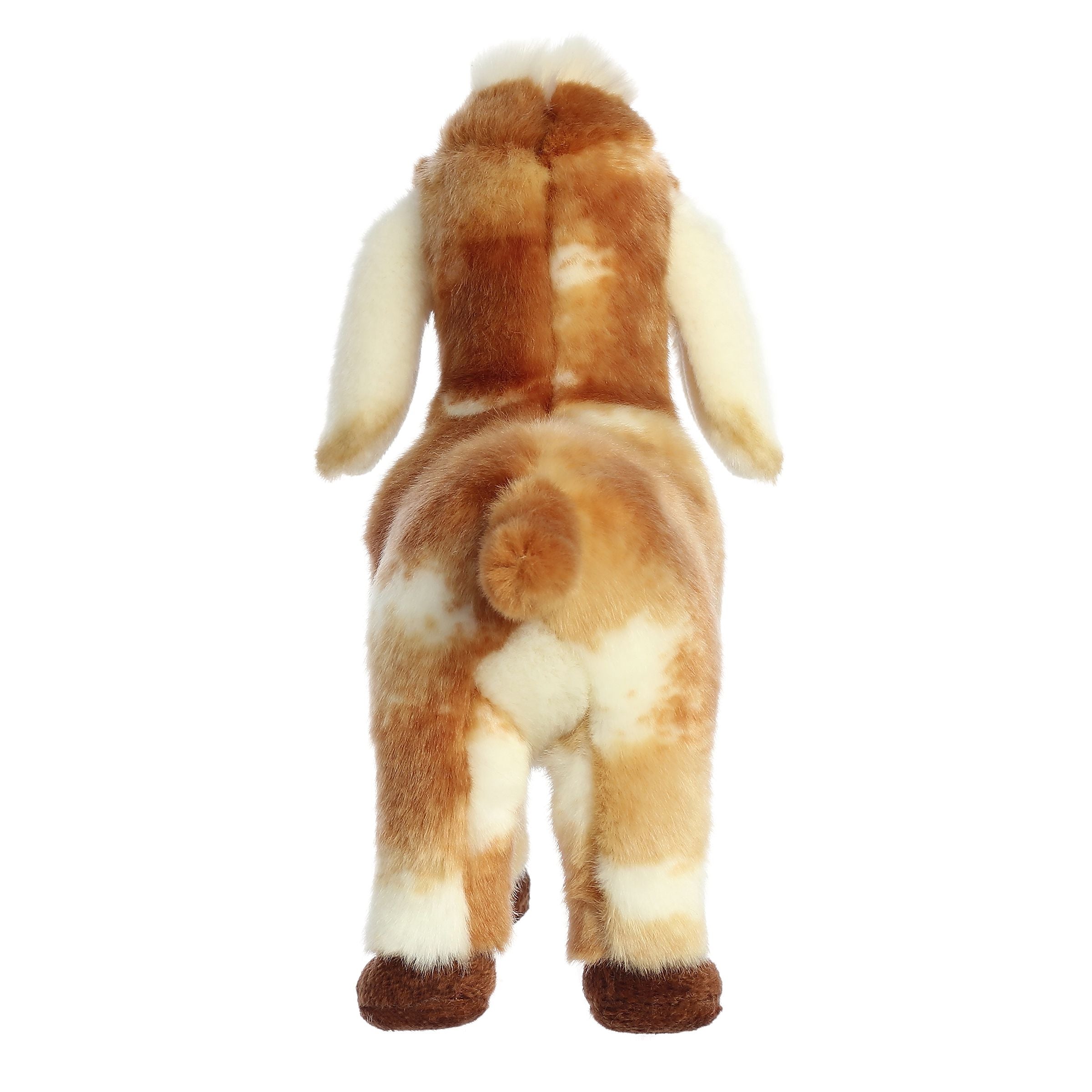 Miyoni Tots - 11 Nubian Goat Kid