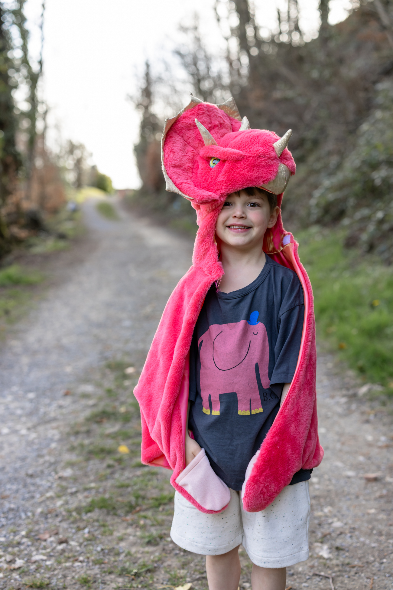 Triceratops Cuddle Cape, Red