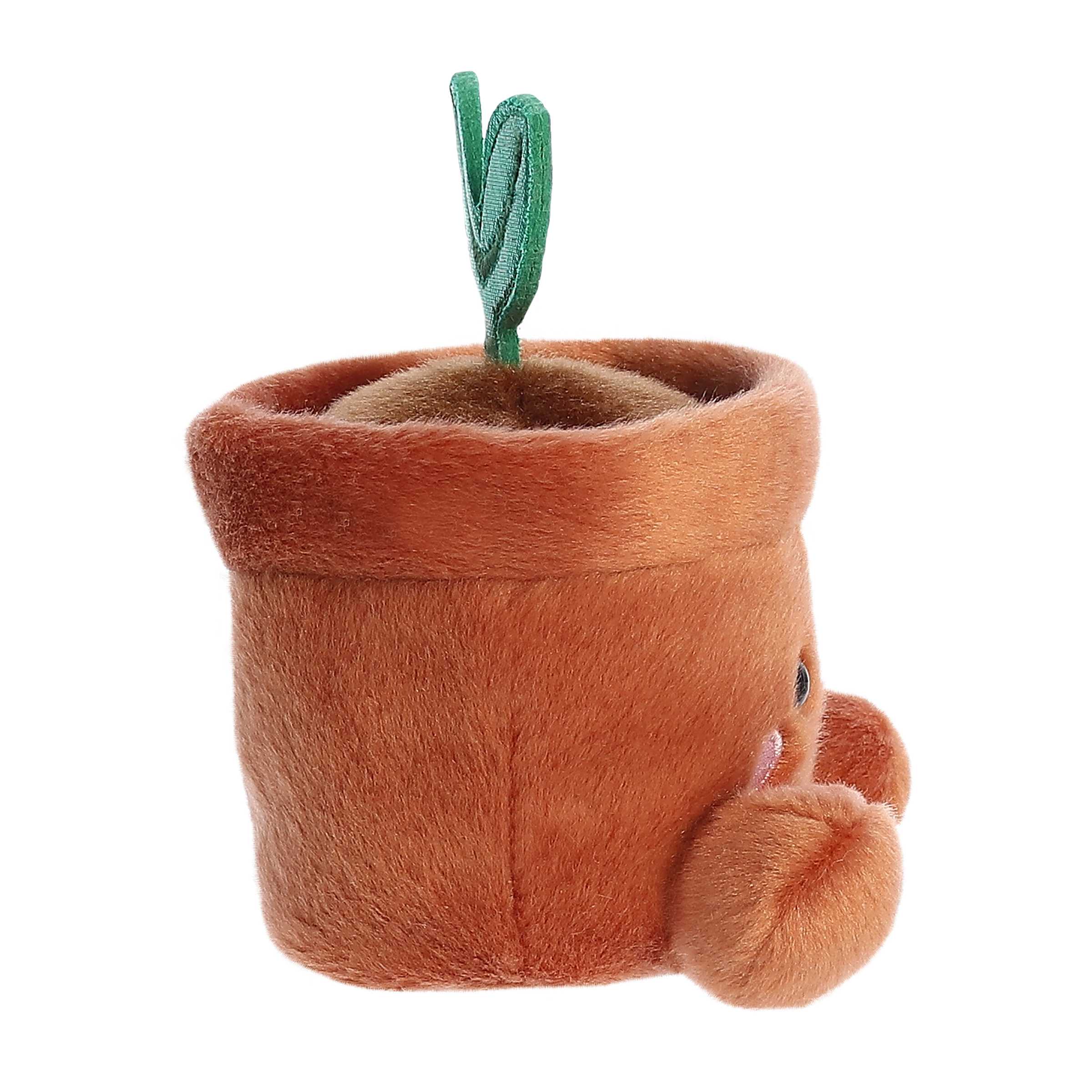 5 Terra Potted Plant Palm Pals