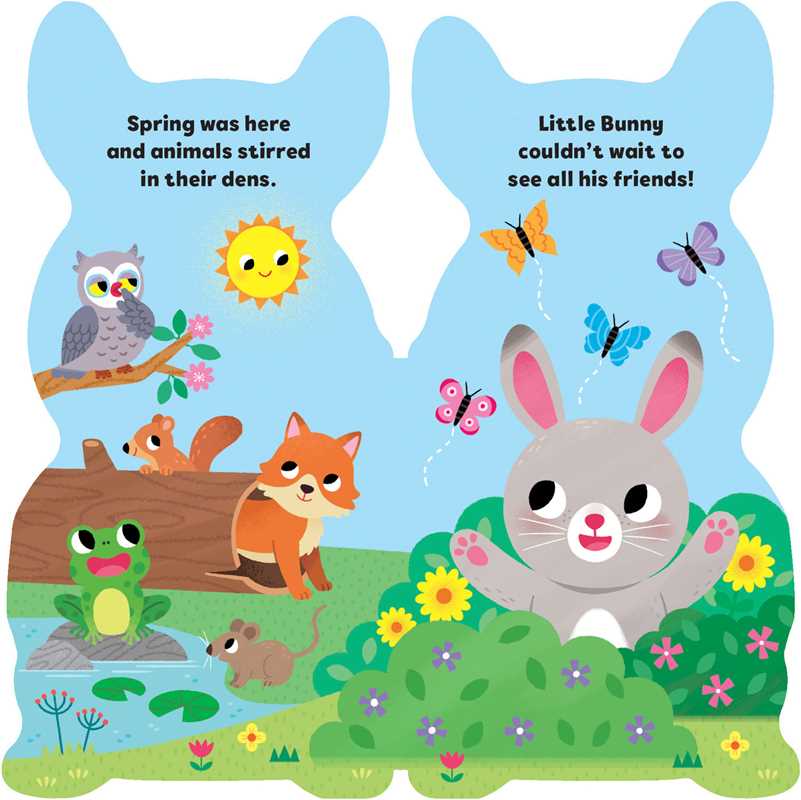 Little Bunny By Maggie Fischer