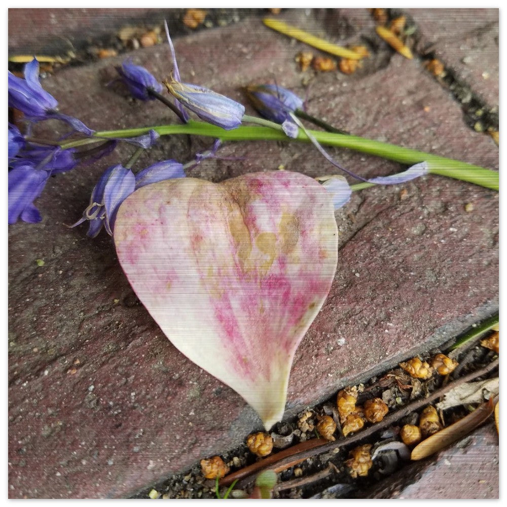 Heart of Leaf - Brushed Aluminum Print