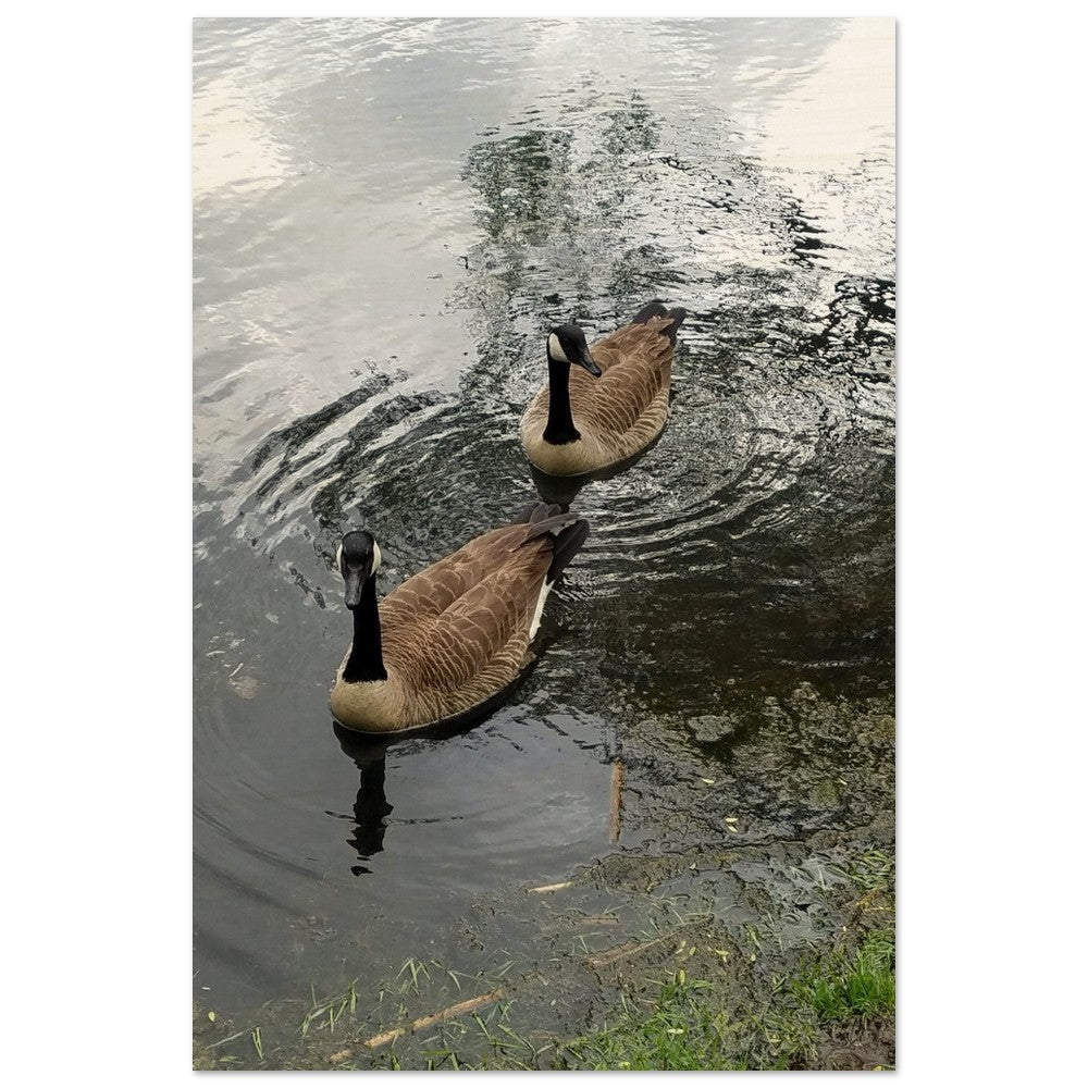 Ripples of Ducks ¨C Captivating Wood Prints to Elevate Your Space!