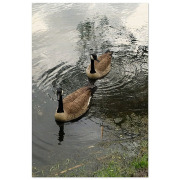 Ripples of Ducks ¨C Captivating Wood Prints to Elevate Your Space!