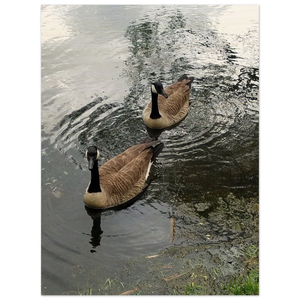 Ripples of Ducks ¨C Captivating Wood Prints to Elevate Your Space!