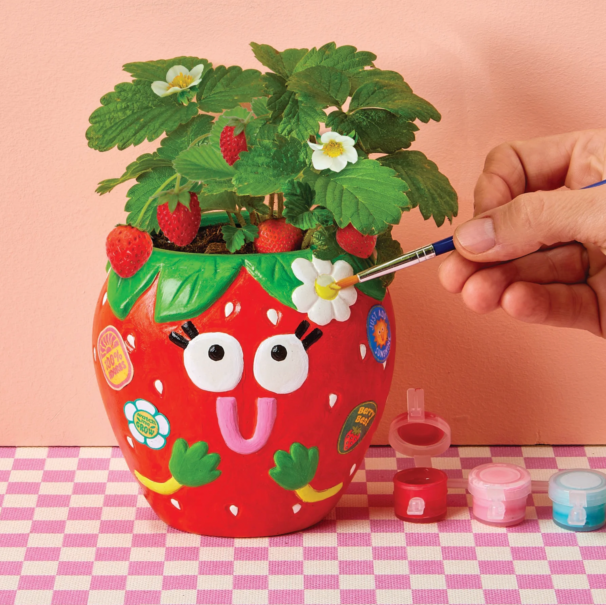 Paint & Grow