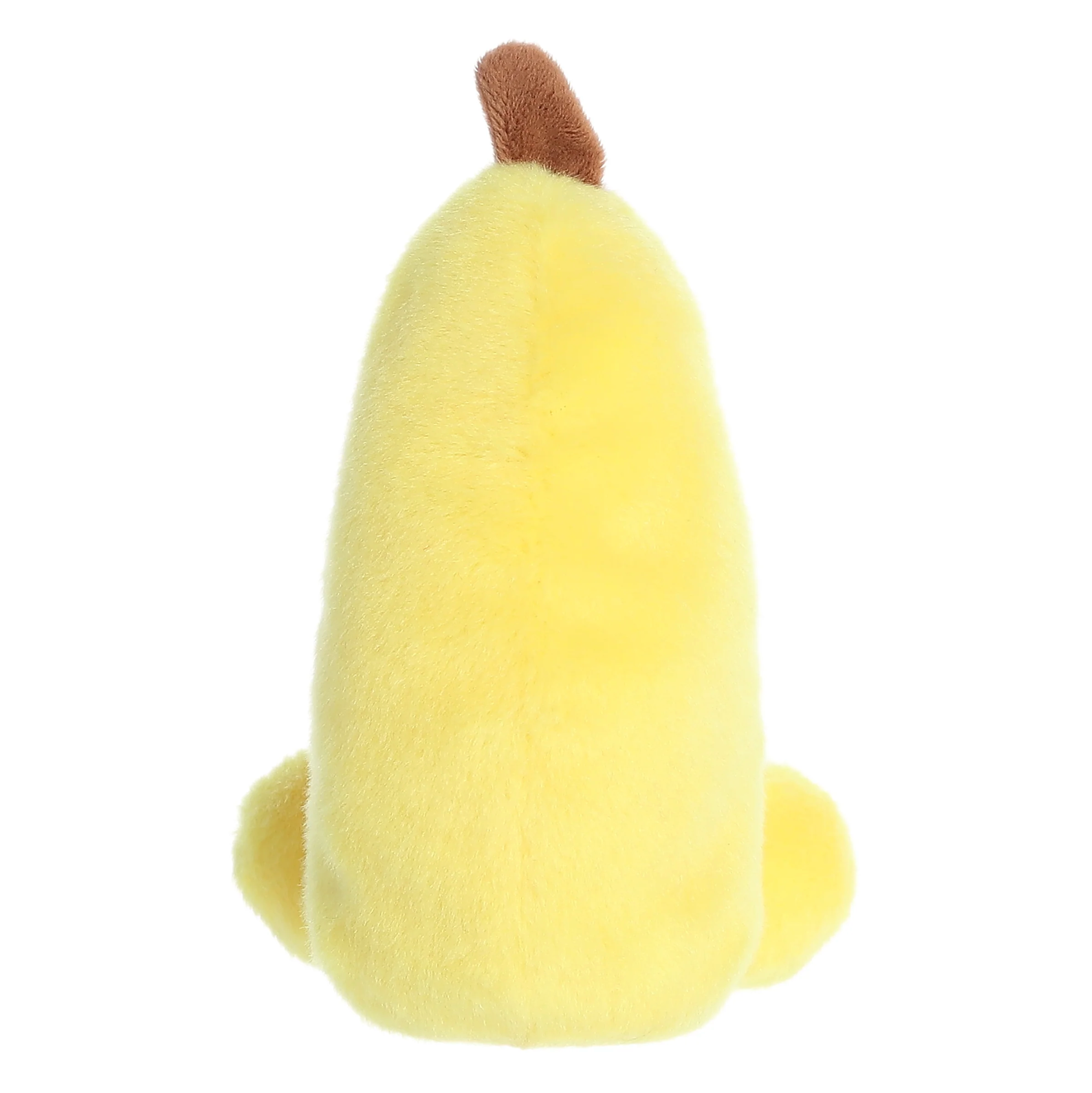 5 Gwen Banana Palm Pals