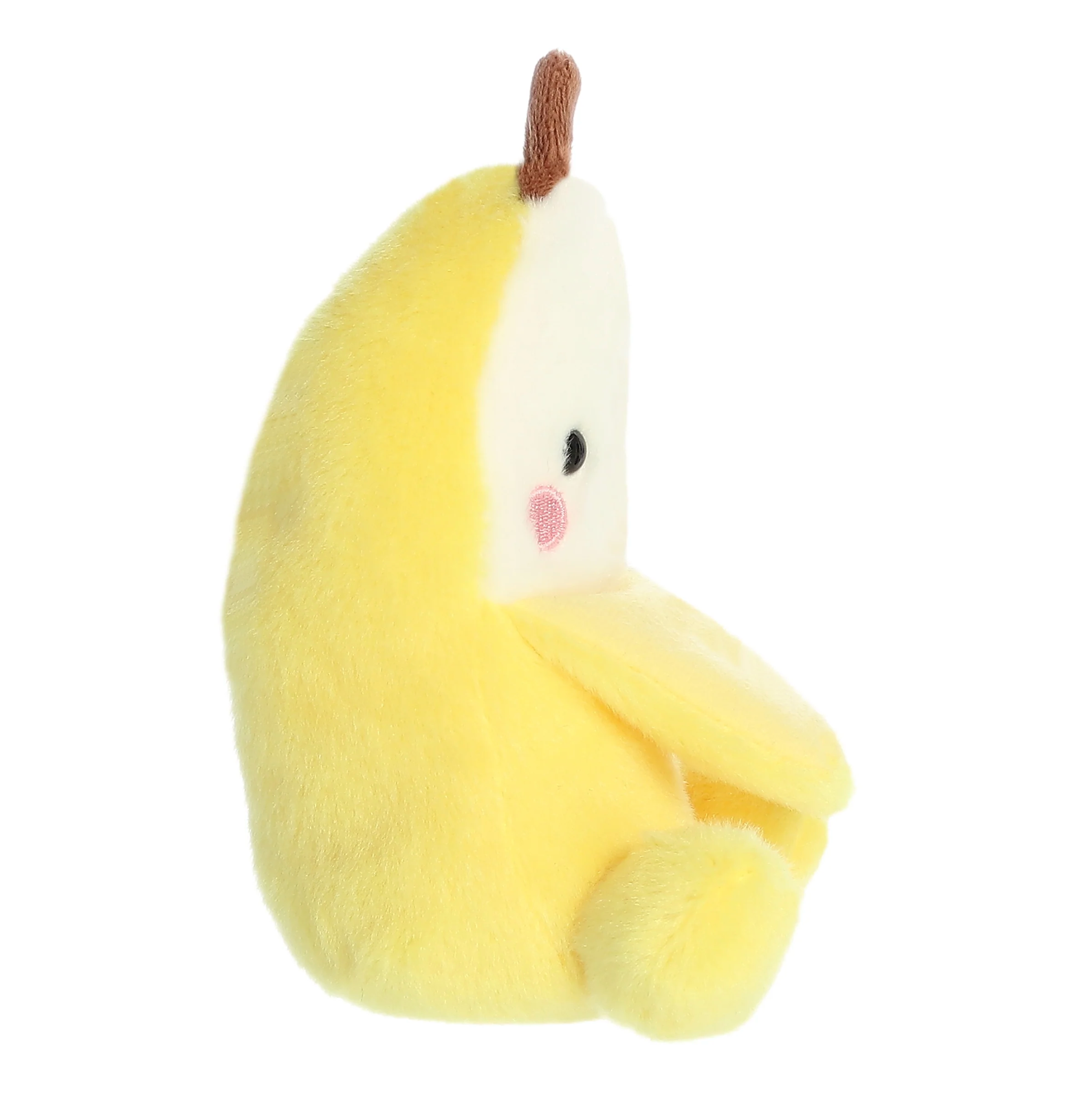5 Gwen Banana Palm Pals