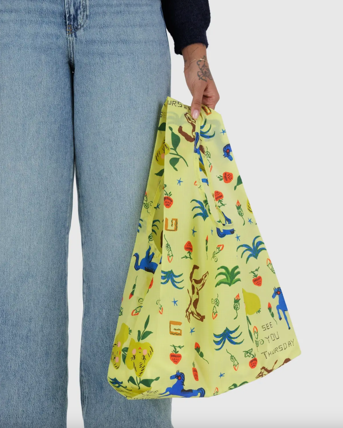 Standard Baggu - Painted Prairie