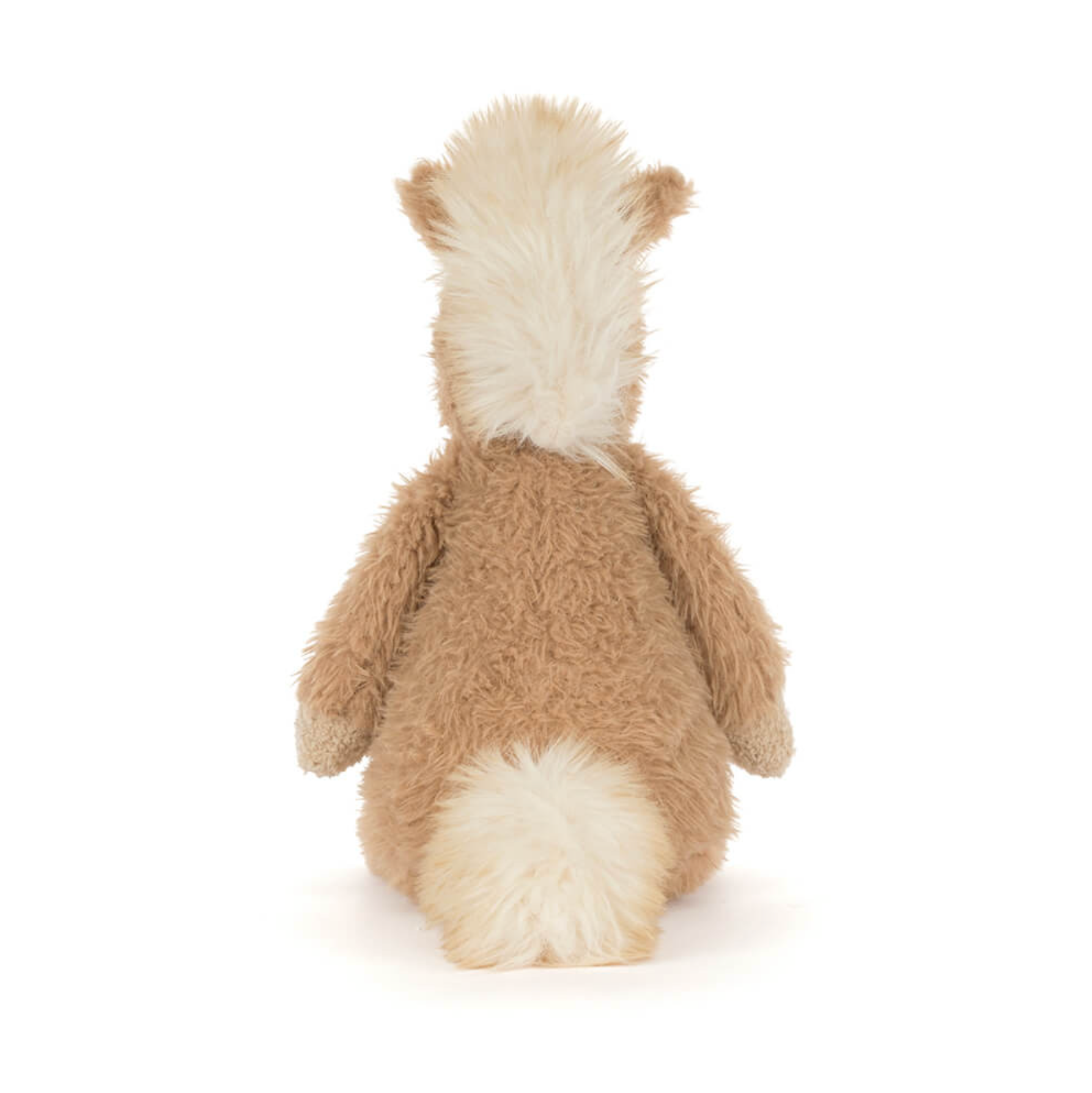 Canterneigh Pony
