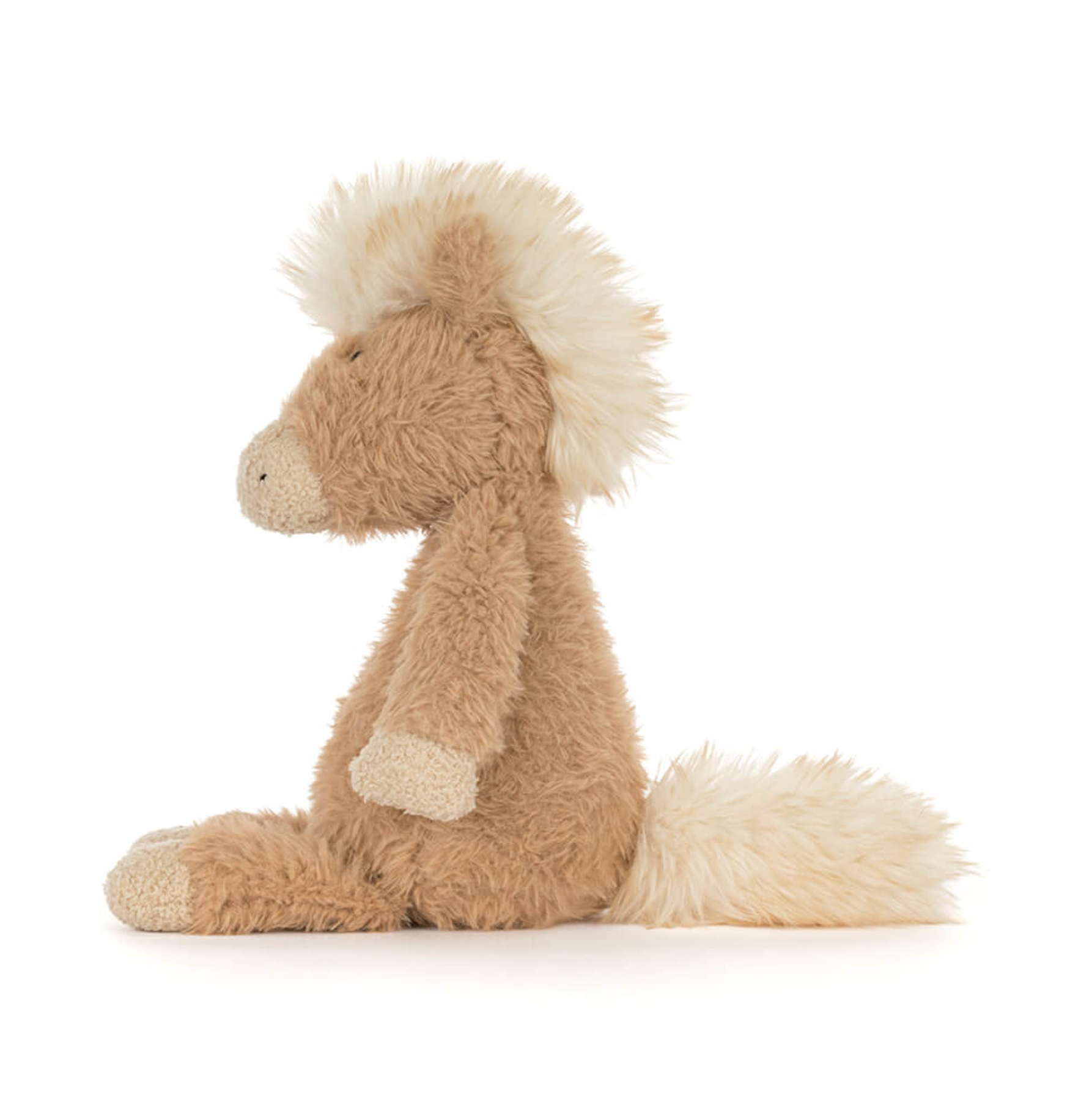 Canterneigh Pony