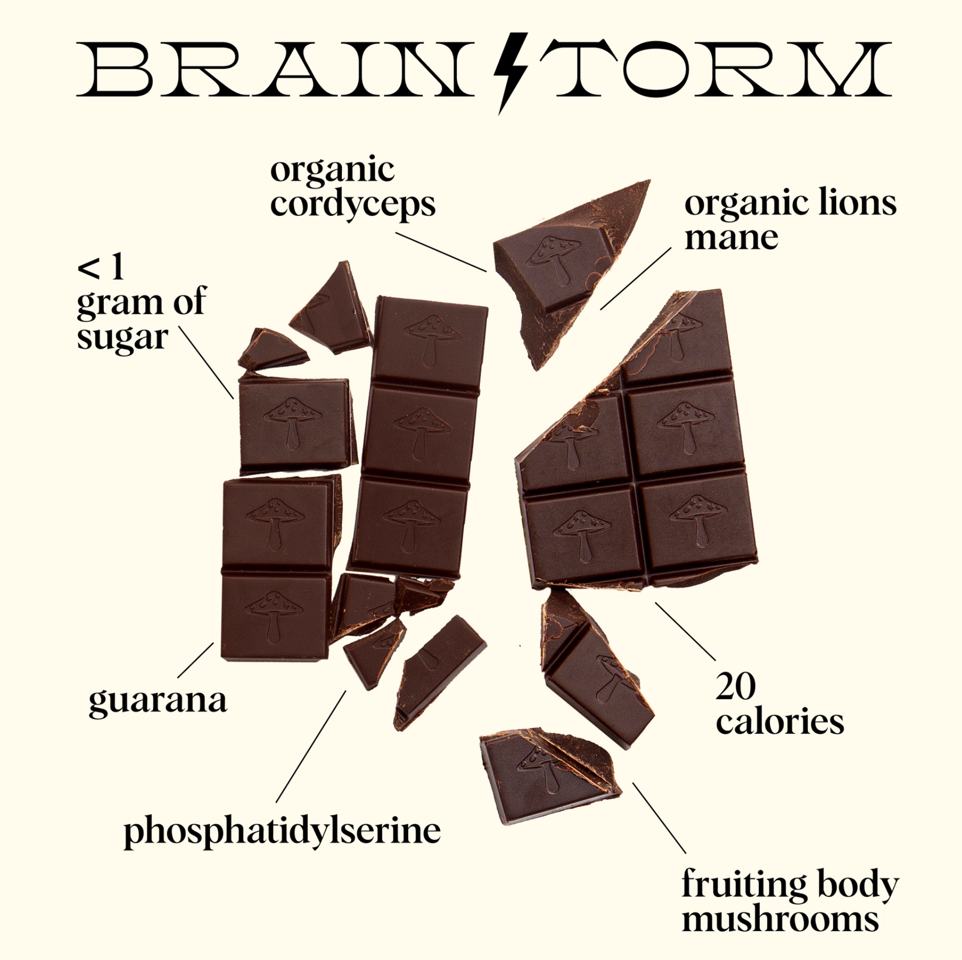 Brainstorm Mushroom Chocolate For Focus