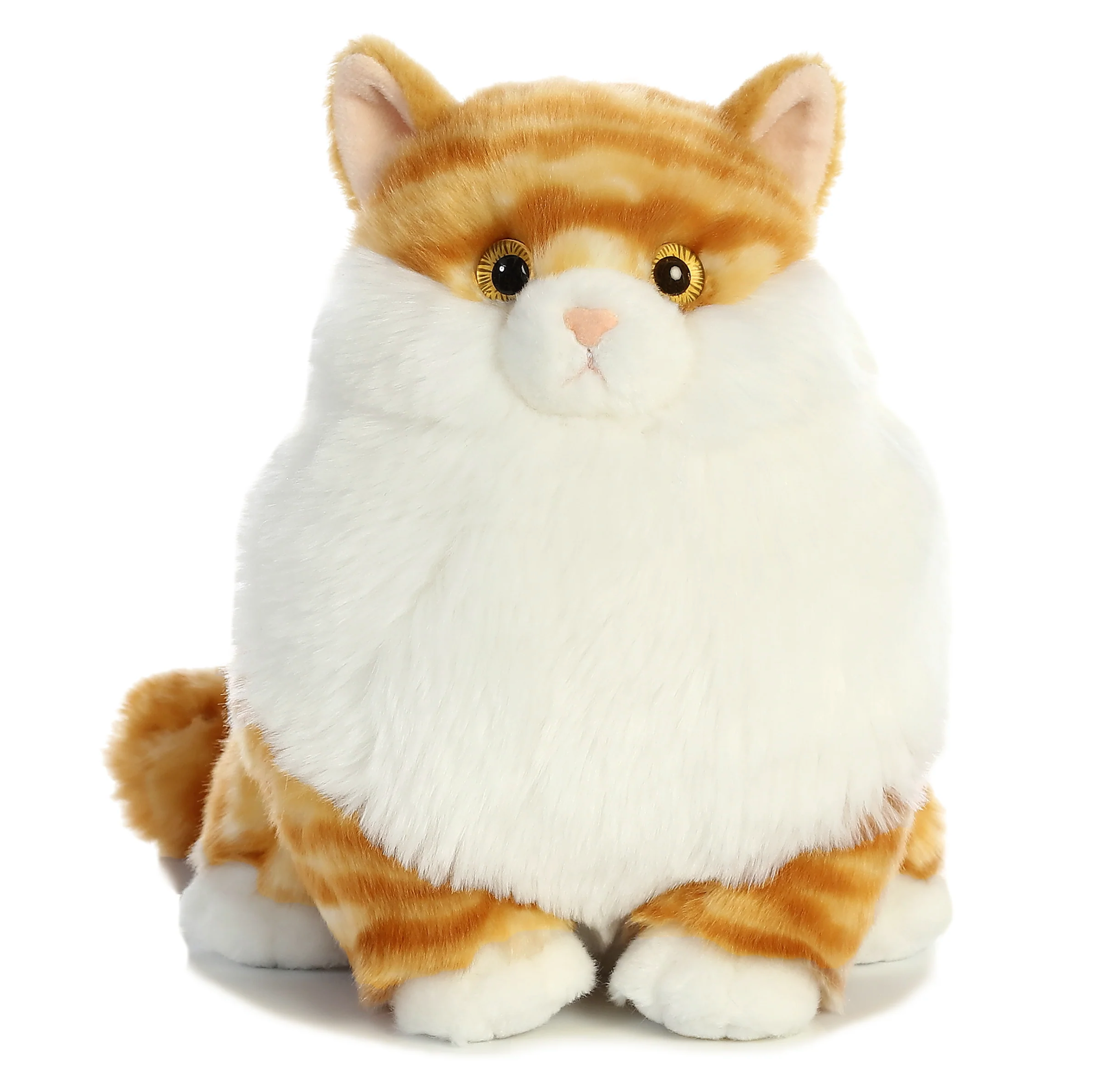 9.5 Butterball Tabby