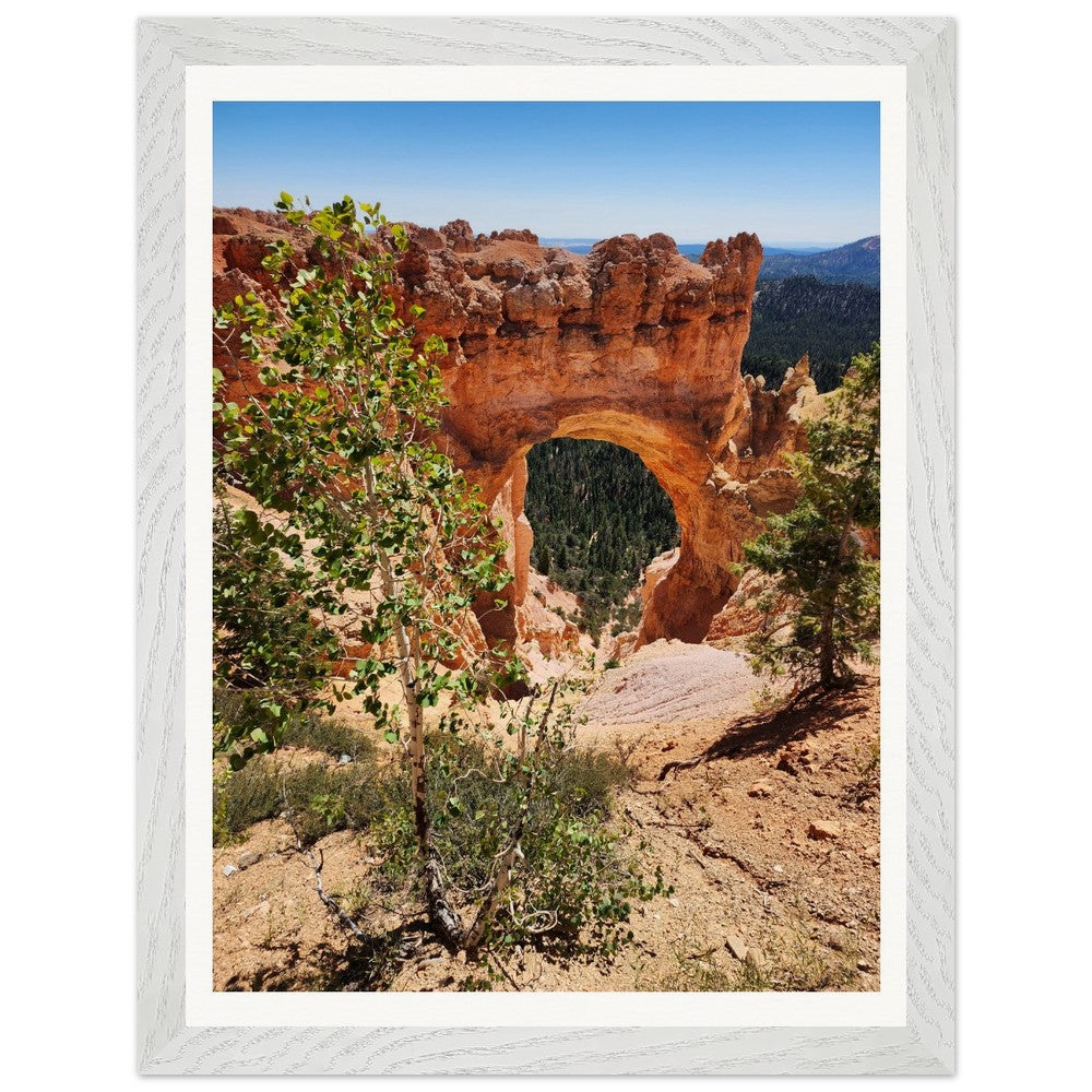 Limited Edition Bryce Canyon Prints - Only 50 Available! Natural Beauty of Bryce Canyon