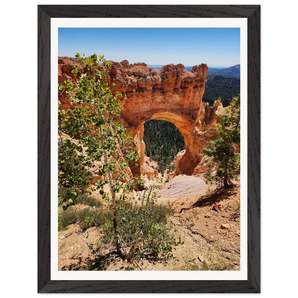 Limited Edition Bryce Canyon Prints - Only 50 Available! Natural Beauty of Bryce Canyon