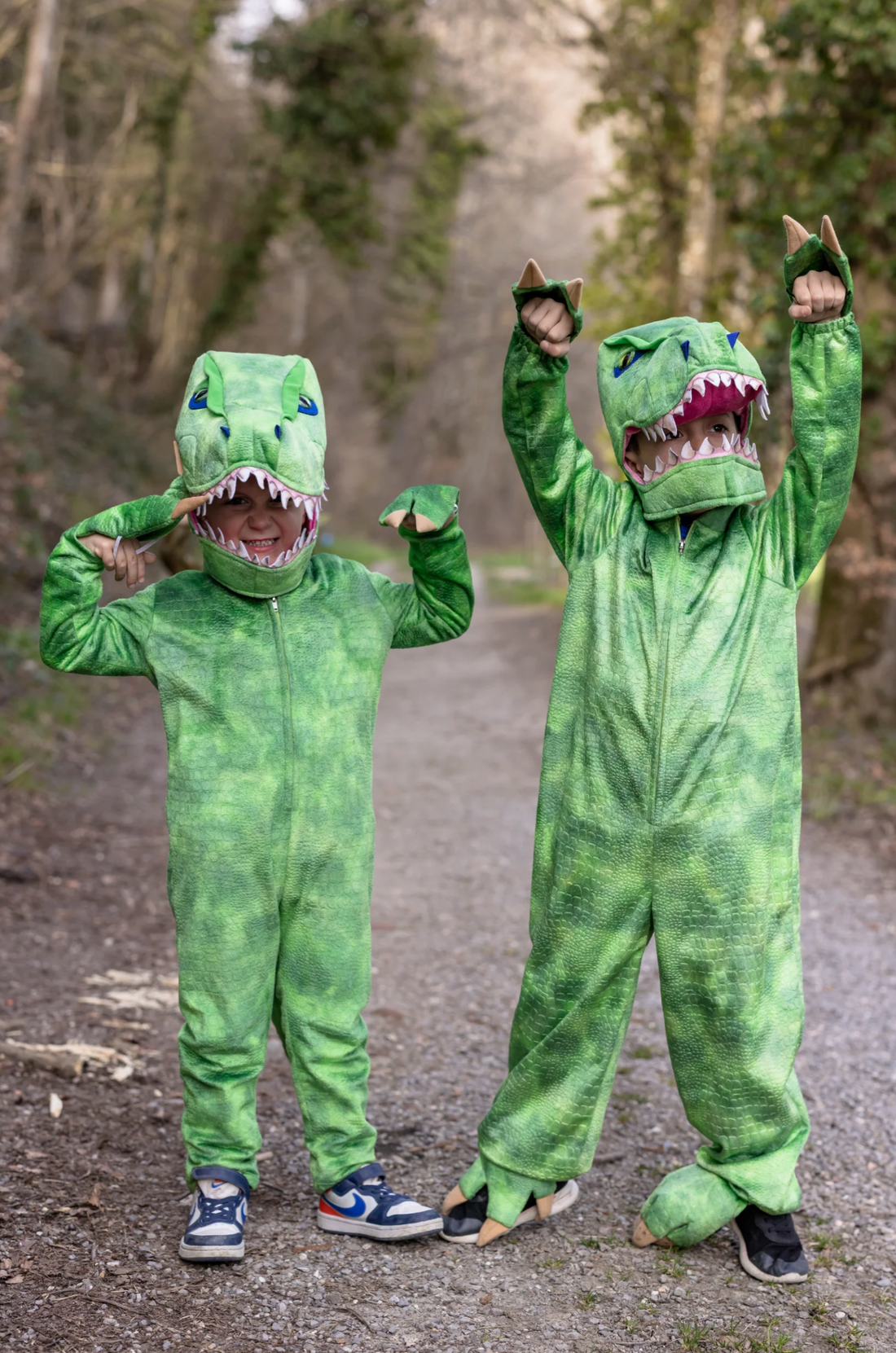 A Land Before Mine Deluxe T-Rex, 2-3T