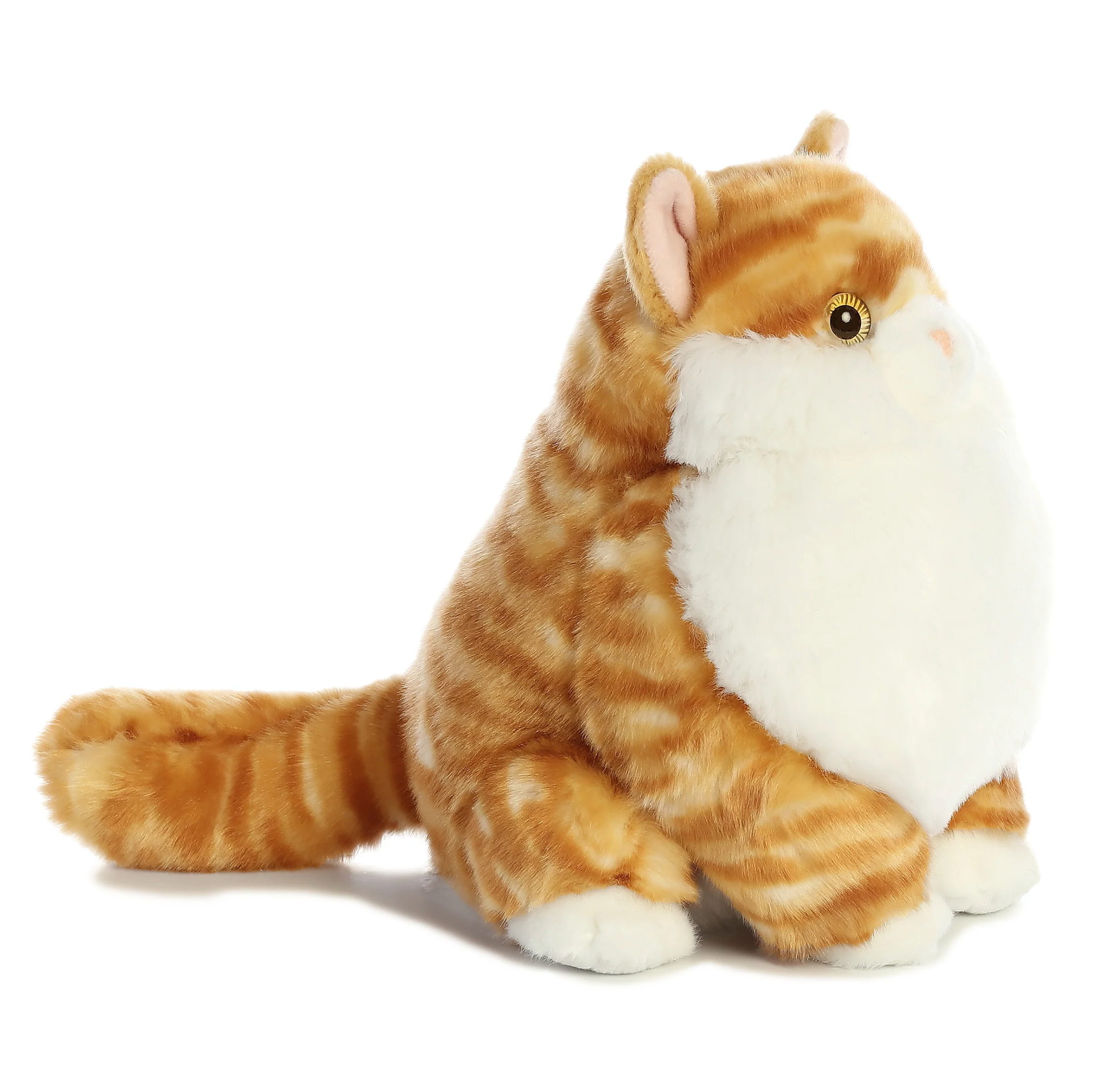 9.5 Butterball Tabby