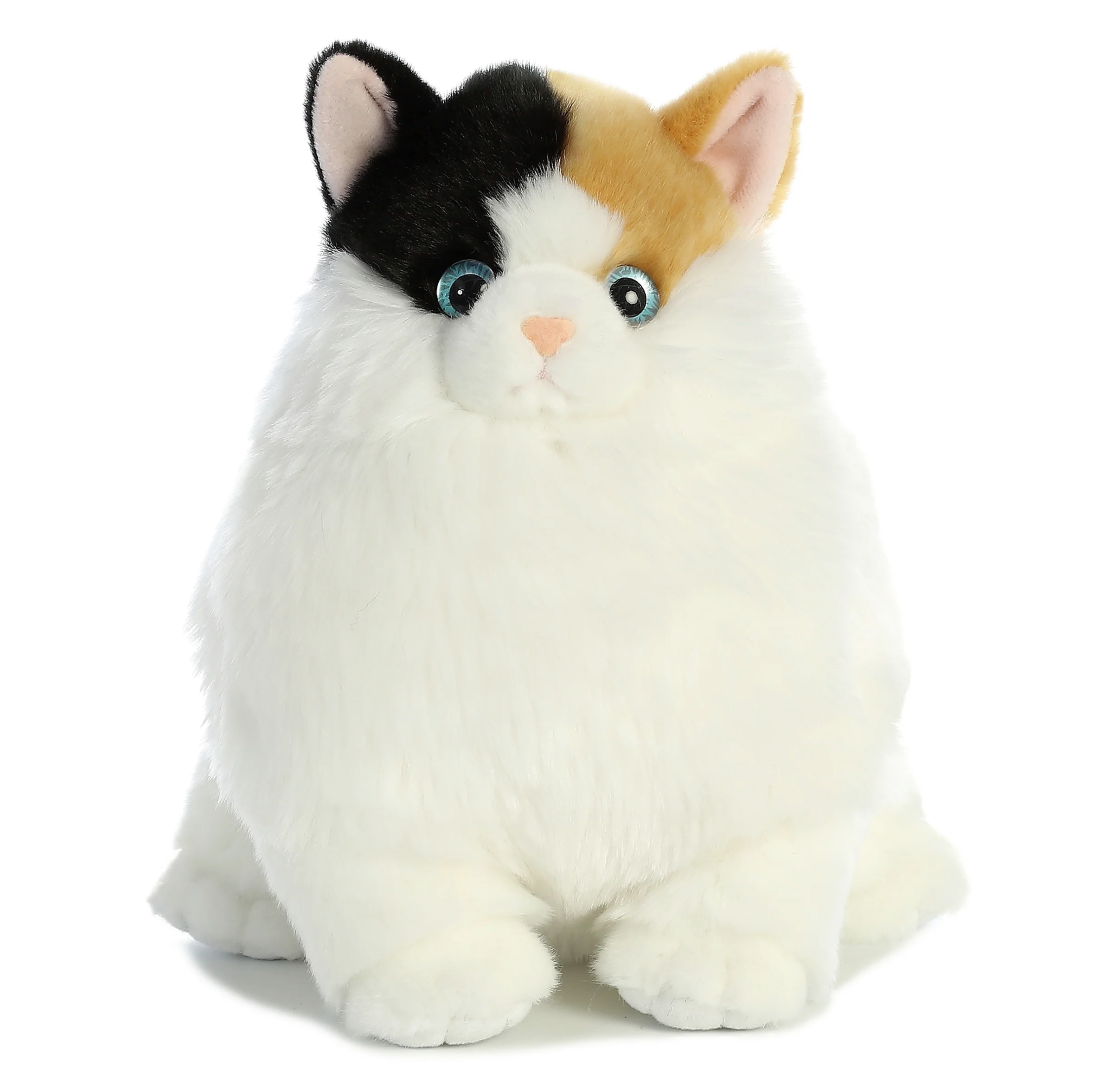 9.5 Munchy Calico