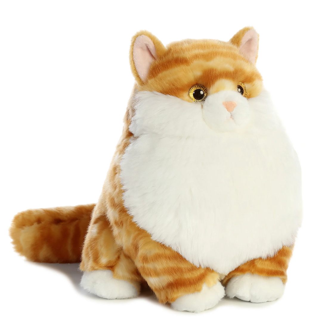 9.5 Butterball Tabby
