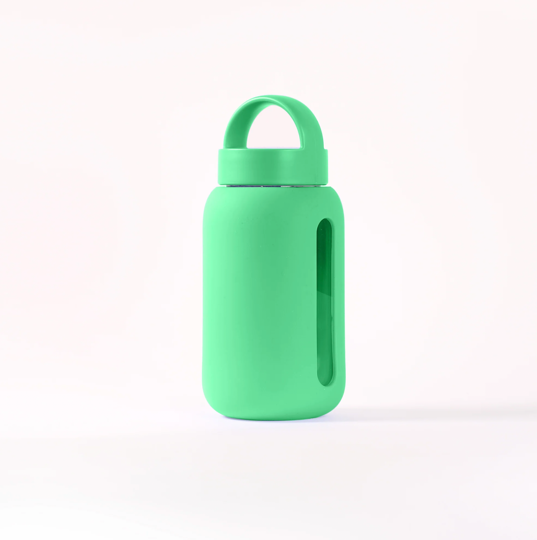 Mini Bottle Classic | 17oz