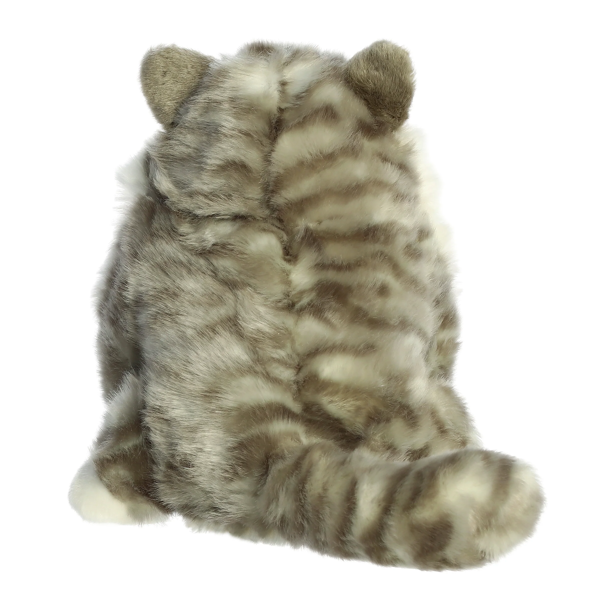 9.5 Dumpling Tabby