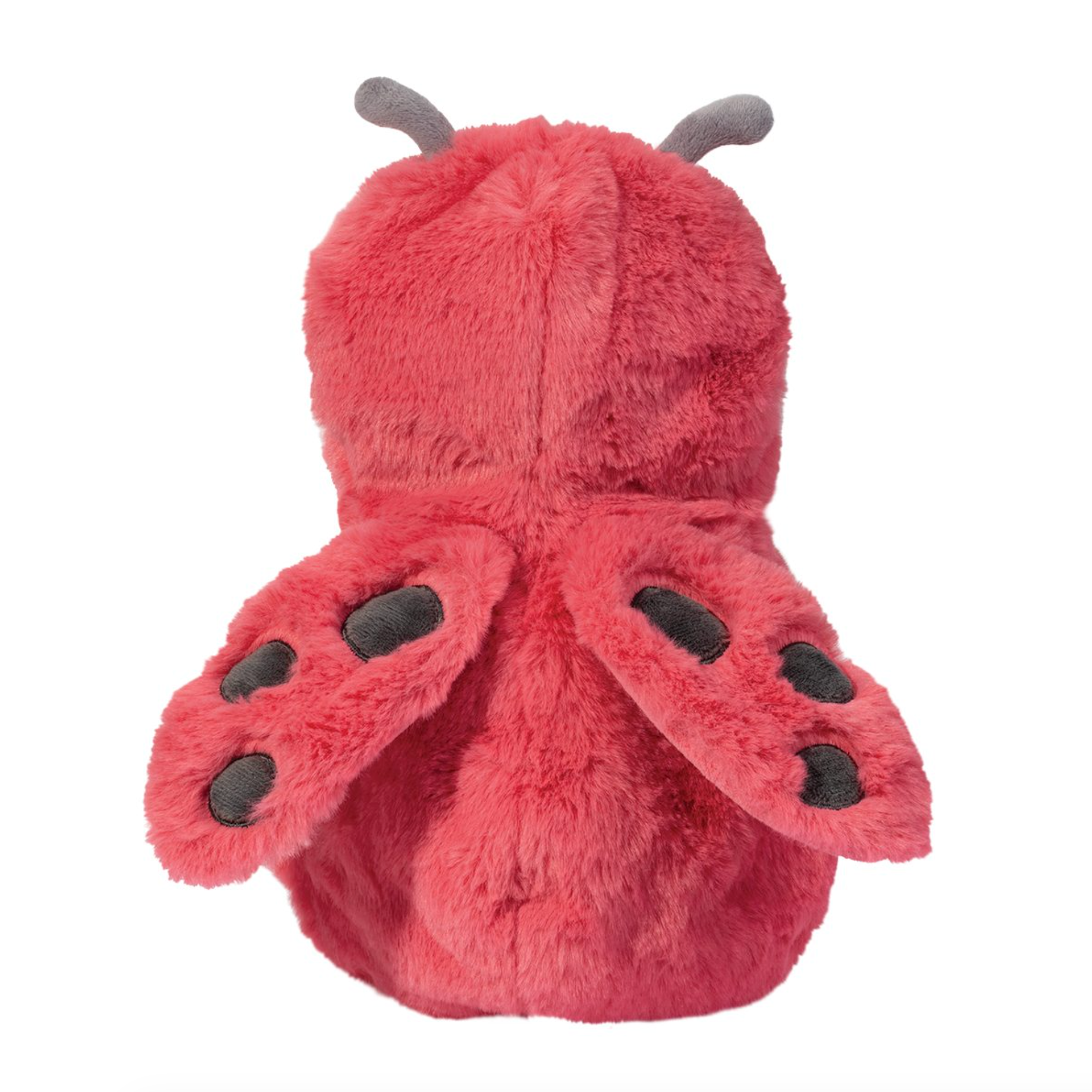 Baby Ladybug Hug