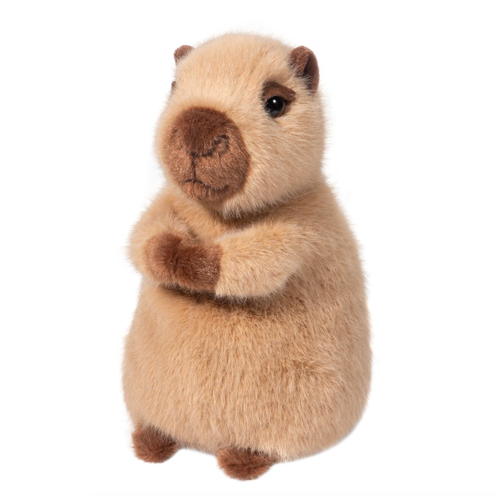 Mini Chattie Soft Capybara
