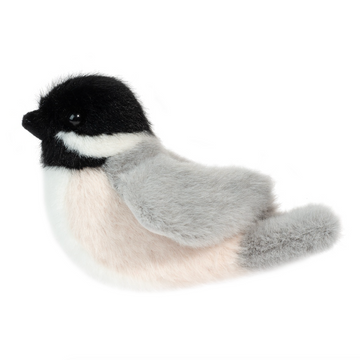 Chipper Chickadee
