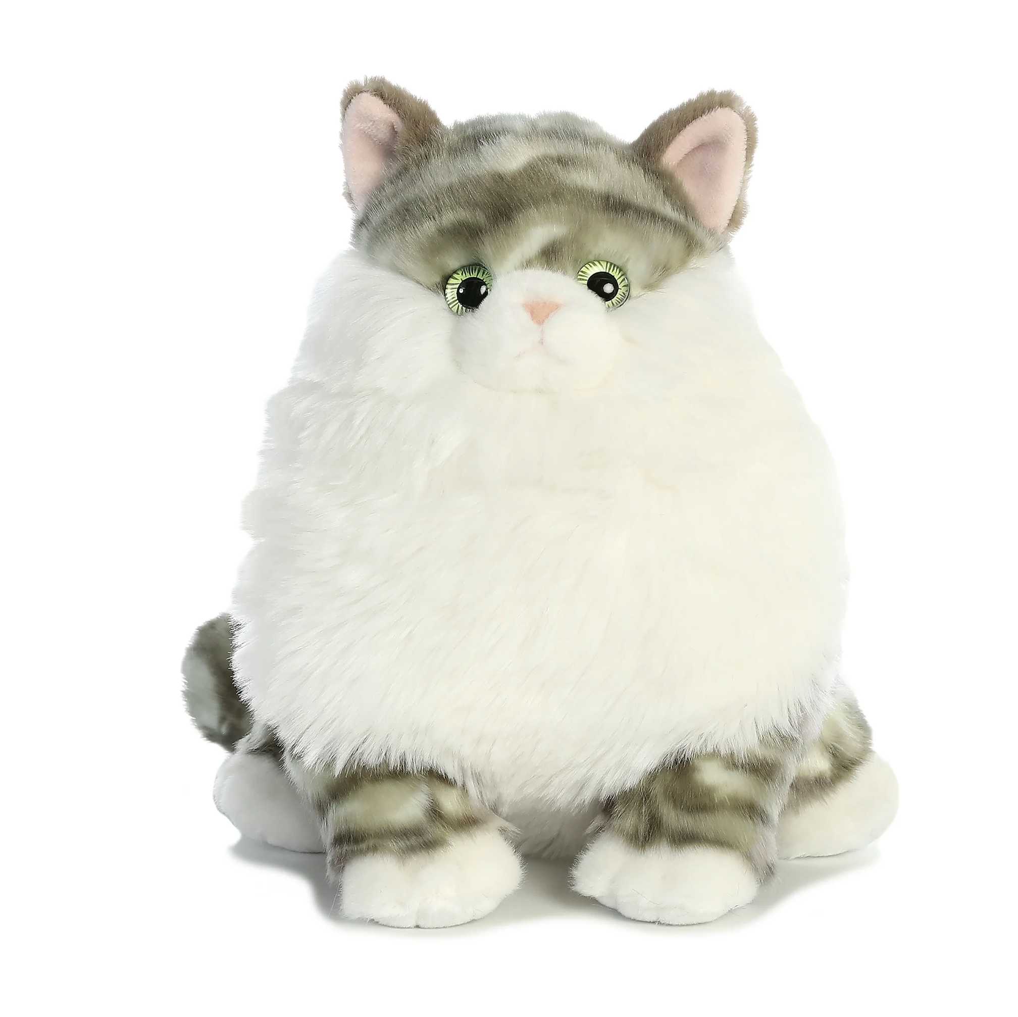 9.5 Dumpling Tabby