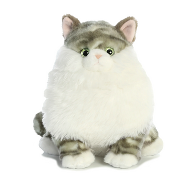 9.5 Dumpling Tabby