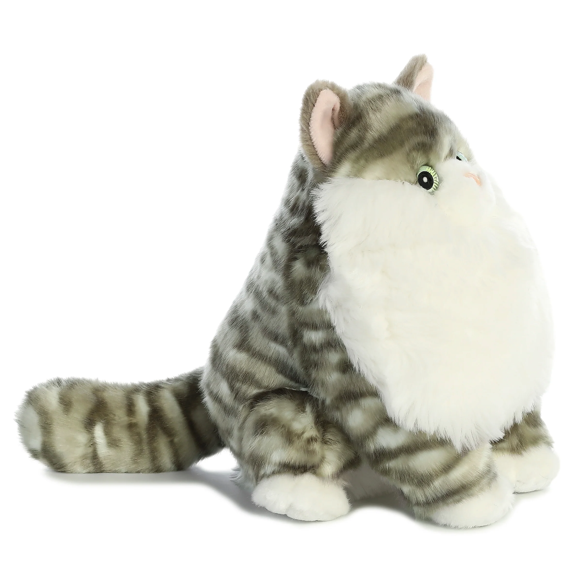 9.5 Dumpling Tabby