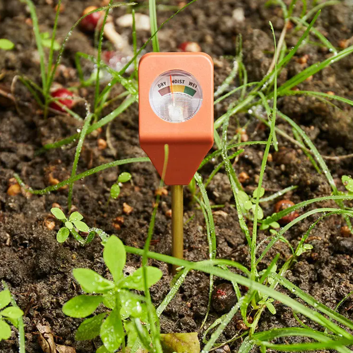 Garden Hydrometer