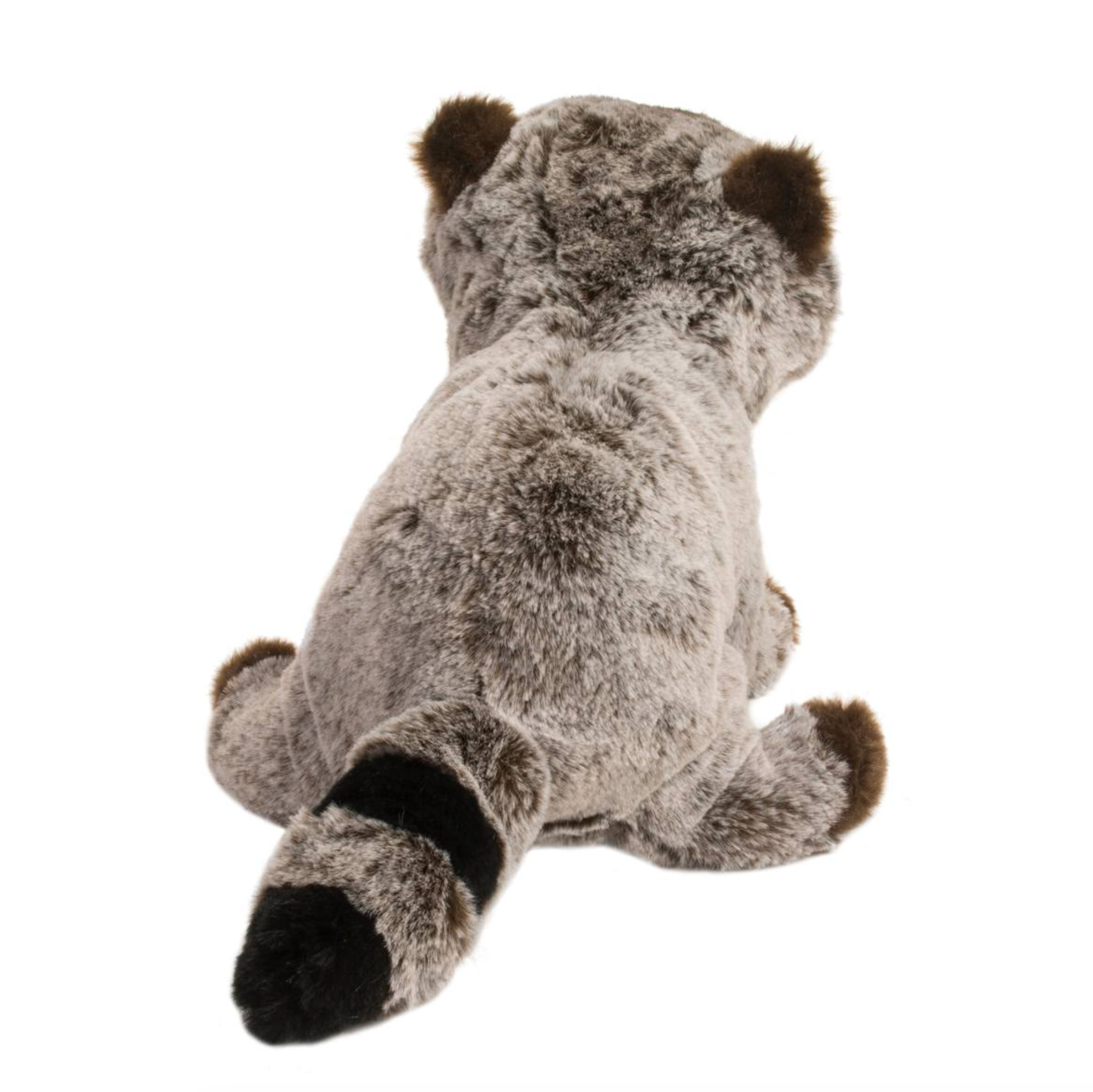Ringo Raccoon